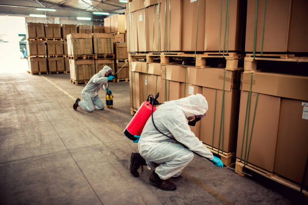 Best Best Pest Control Near Me  in High Point, NC