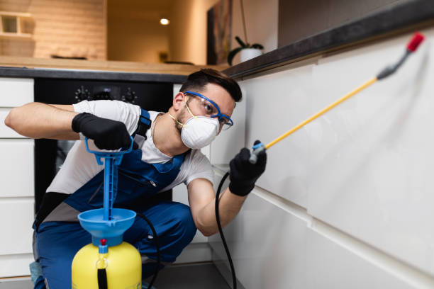 Best Cockroach Control Services  in High Point, NC