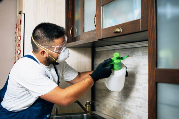 Pest Control for Restaurants in High Point, NC