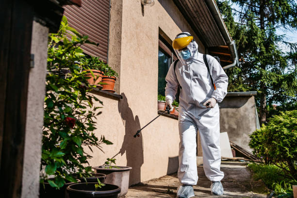 Trusted High Point, NC Pest Control Experts
