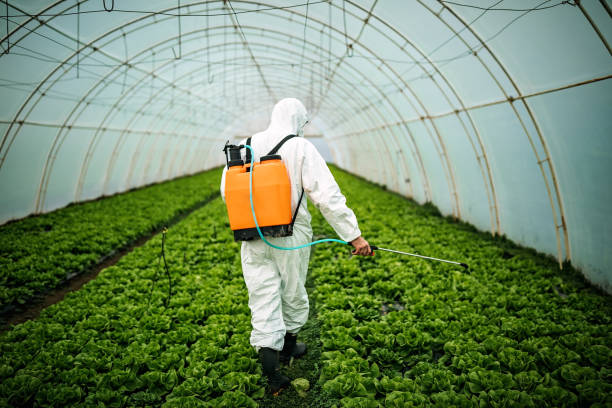Best Pest Inspection Near Me  in High Point, NC