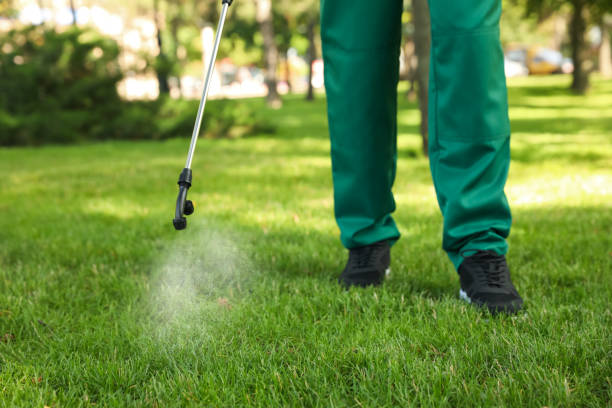 Best Bed Bug Extermination  in High Point, NC