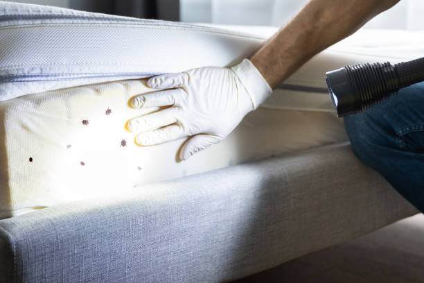 High Point, NC Pest Control Company