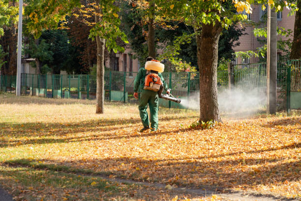 Best Local Pest Control Services  in High Point, NC