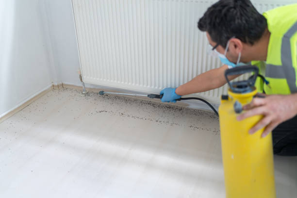 Best Commercial Pest Control Services  in High Point, NC