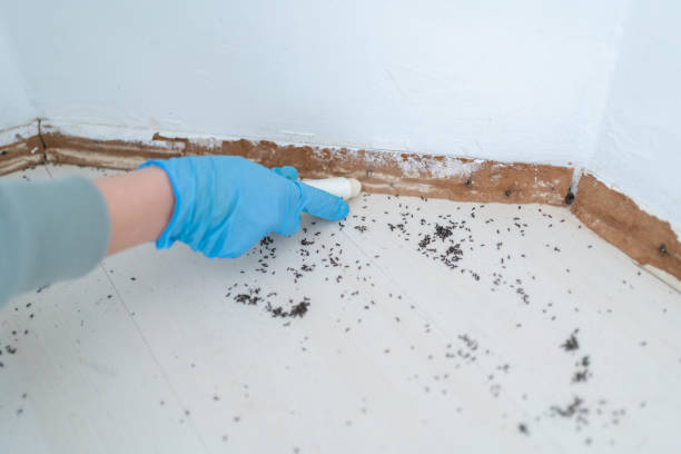 Best Wildlife Control Services  in High Point, NC