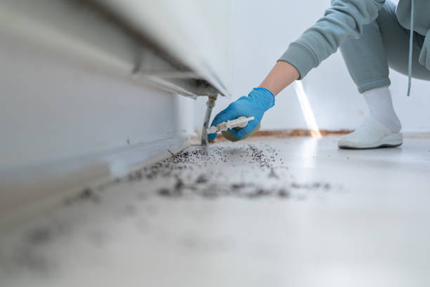 Best Bed Bug Extermination  in High Point, NC