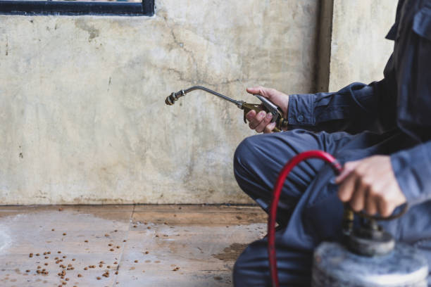 Best Pest Control Near Me in High Point, NC
